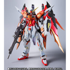 Metal Build Destiny Gundam Heine Custom