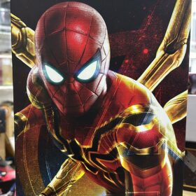 Hottoys MMS482 Avengers Infinity War Iron Spider