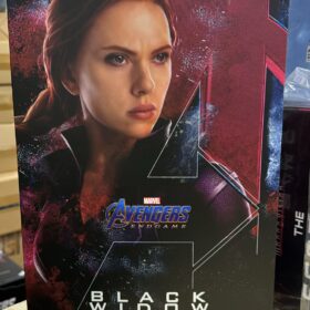 Hottoys MMS533 Black Widow Avengers Endgame