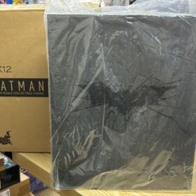 Hottoys DX12 The Dark Knight Batman