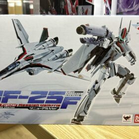 Bandai DX Chogokin VF-25F GE-54 Macross Messiah Valkyrie Alto Saotome Custom