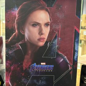 Hottoys MMS533 Black Widow Avengers Endgame