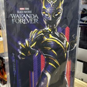 Hottoys MMS675 Black Panther Wakanda Forever