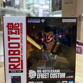 Bandai Robot Spirits 315 MS-08TX Exam Efreet Custom Robot