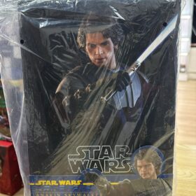 Hottoys TMS019 The Clone Wars Anakin Skywalker Star Wars Starwars