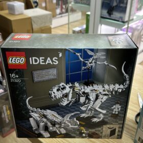 Lego 21320 Dinosaur Fossils Ideas