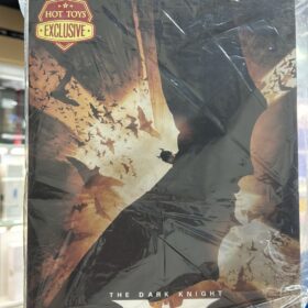 Hottoys MMS595 Batman Begins Dark Knight Exclusive