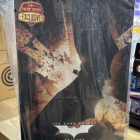 Hottoys MMS595 Batman Begins Dark Knight Exclusive