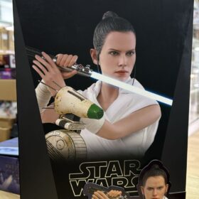 Hottoys MMS559 Rey D-O Set The Rise Of Skywalker Star Wars Starwars