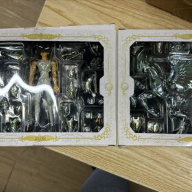 開封品 Bandai Saint Seiya Myth Pegasus Seiya Cloth God Cloth 聖鬥士星矢 聖衣神話 神聖衣 天馬座 星矢