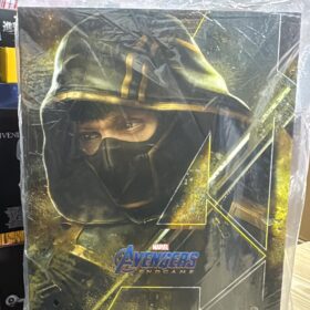 開封品 Hottoys MMS532 SP Hawkeye Endgame 復仇者聯盟 終局之戰 鷹眼