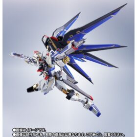 全新 Bandai Metal Robot Spirits Gundam Seed Destiny Strike Freedom Gundam 20th Anniversary Ver Metal Robot魂 突擊自由高達 20週年紀念 機動戰士